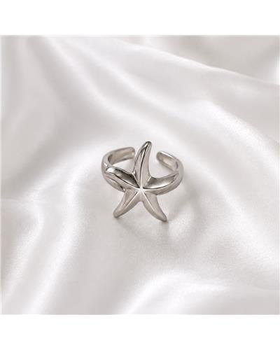 Aster silver